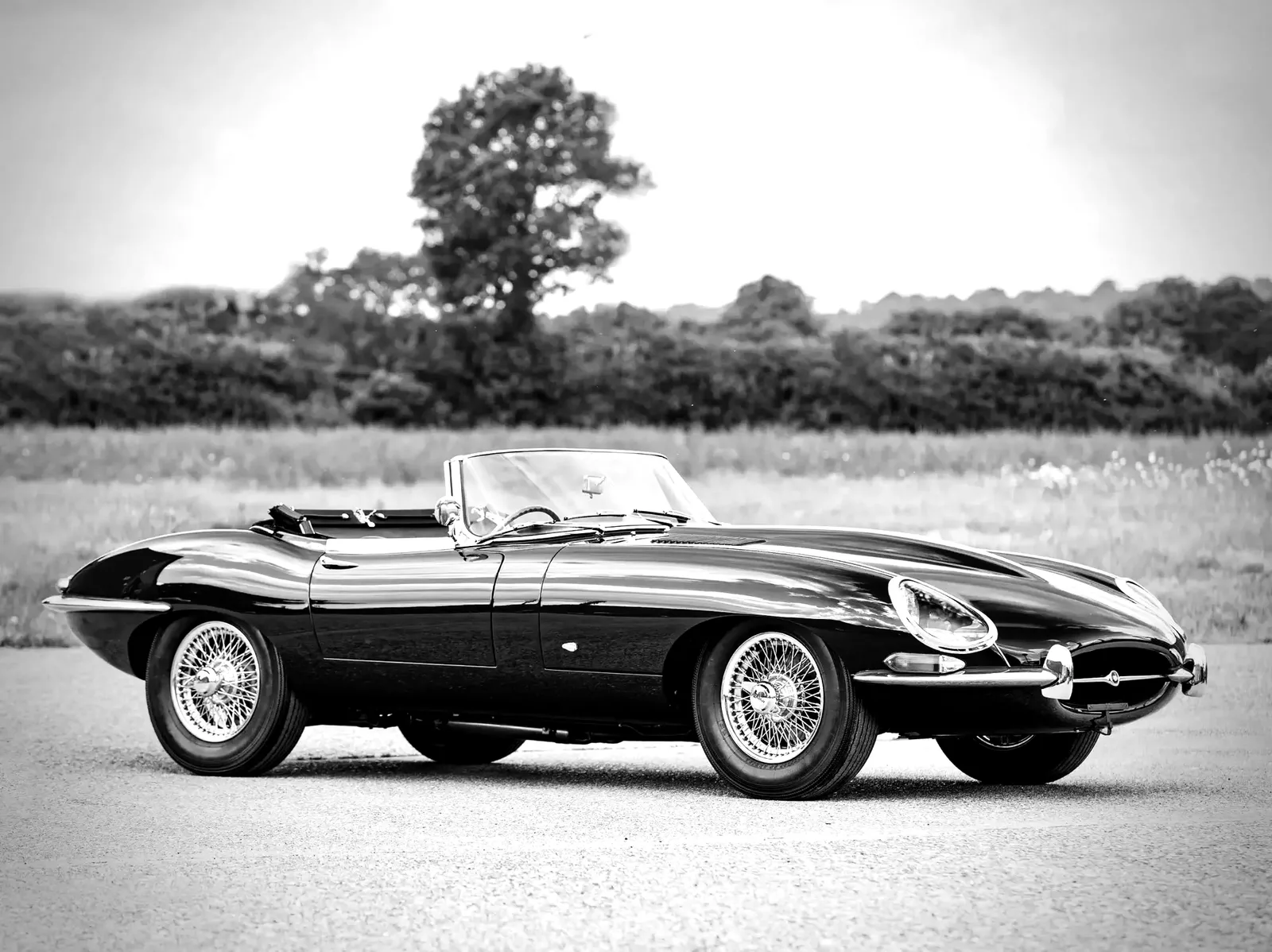 Jaguar D-Type
